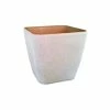 Outlet ๐ Australia Only - EDEN 35 X 33cm Sandstone Self Watering Square Planter โญ 2 Outlet ๐ Australia Only - EDEN 35 X 33cm Sandstone Self Watering Square Planter โญ -Eden shop 002eb9673b0941cba608a3fc42fb3513