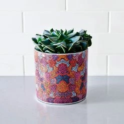 Top 10 👍 EDEN 16cm Warlu Witchetty Grub Dreaming Indigenous Planter Other - To Australia ✨ 12 Top 10 👍 EDEN 16cm Warlu Witchetty Grub Dreaming Indigenous Planter Other - To Australia ✨ -Eden shop 1ef77c9fe13e47e3bdb27f3855bf57fd