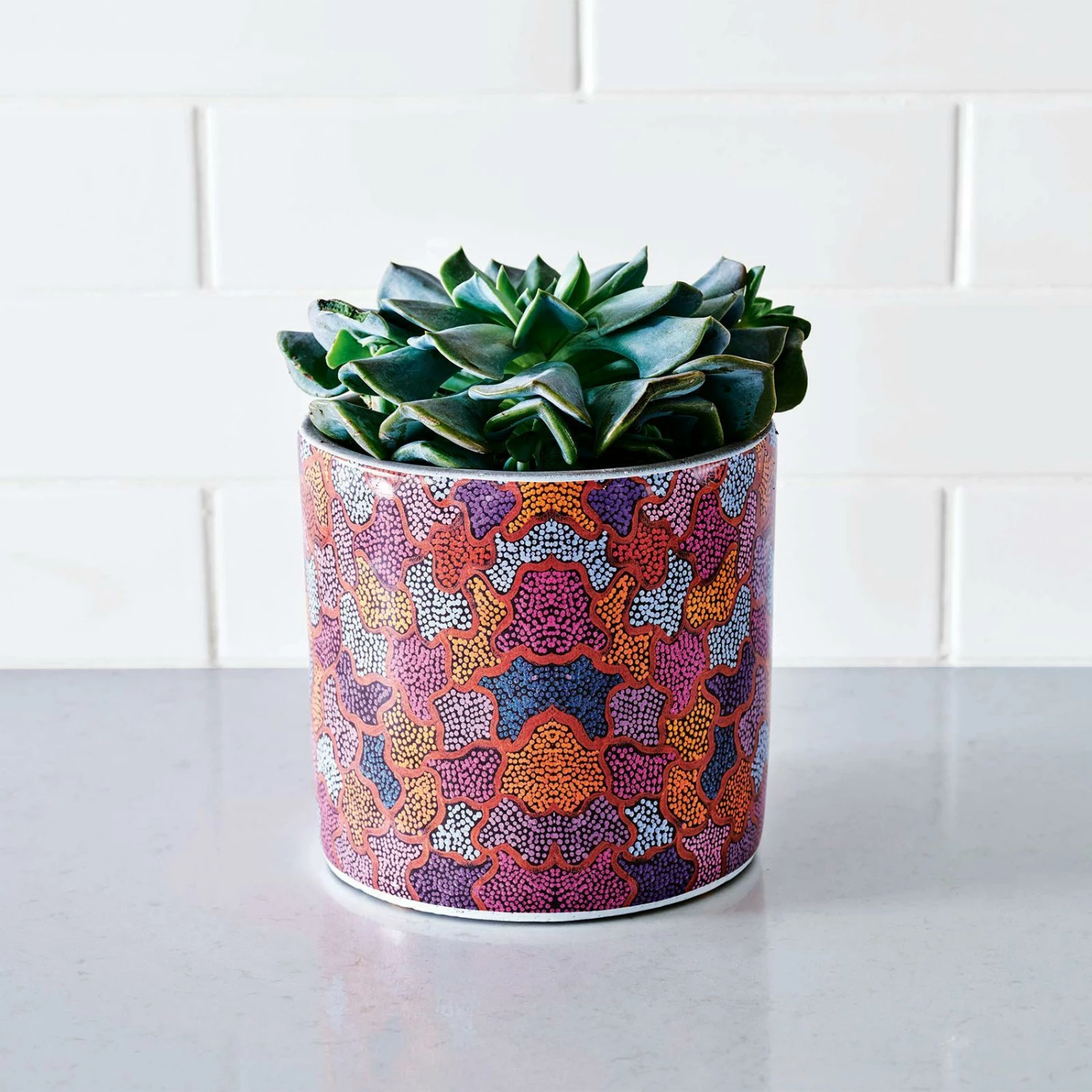 Top 10 👍 EDEN 16cm Warlu Witchetty Grub Dreaming Indigenous Planter Other - To Australia ✨ 7 Top 10 👍 EDEN 16cm Warlu Witchetty Grub Dreaming Indigenous Planter Other - To Australia ✨ - Image 5