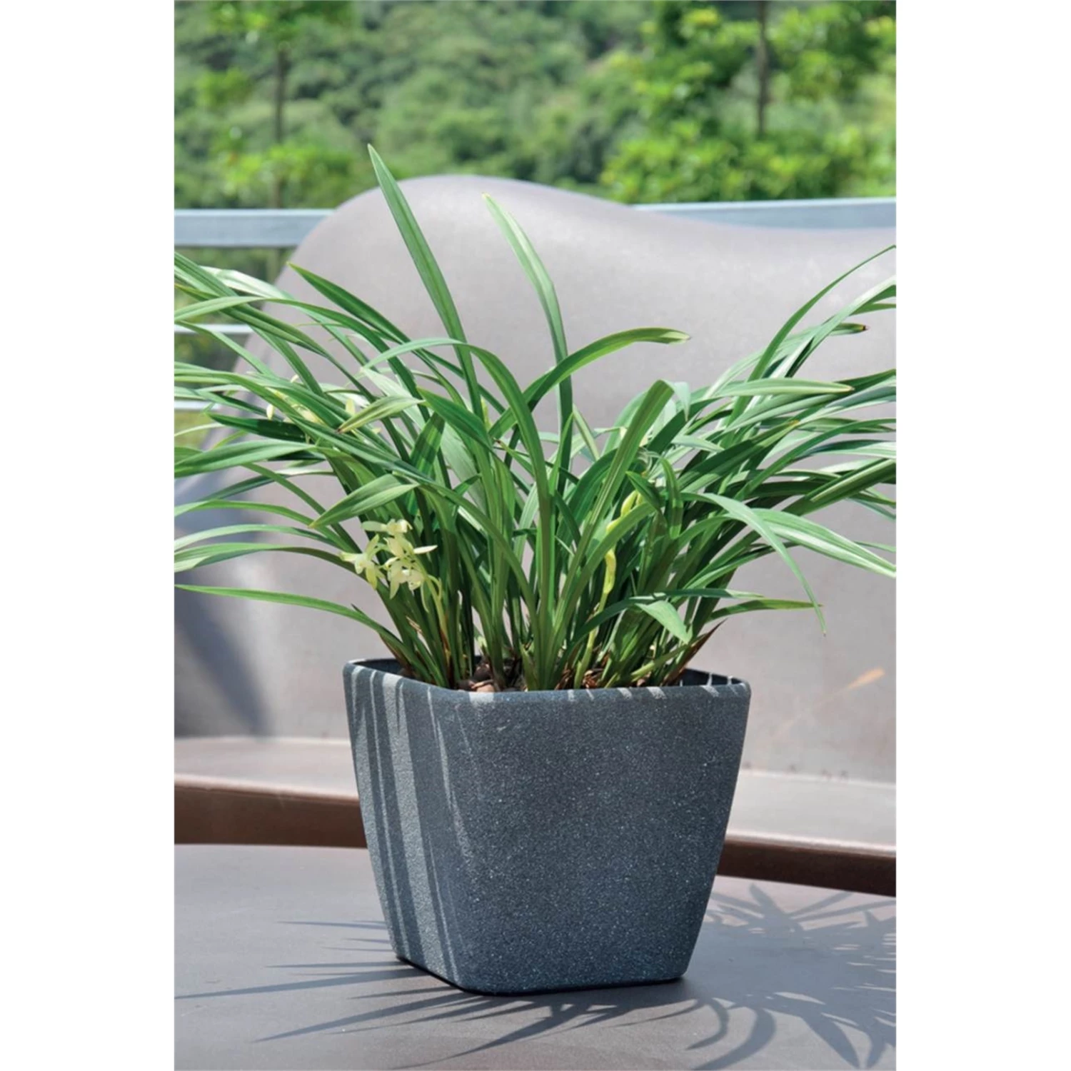 Brand new ๐ Australia Only - Eden 28 X 26cm Granite Self Watering Square Planter ๐ 5 Brand new ๐ Australia Only - Eden 28 X 26cm Granite Self Watering Square Planter ๐ - Image 3
