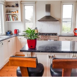 Discount ๐ Eden 18cm Red Square Self Watering Planter - To Australia ๐ 5 Discount ๐ Eden 18cm Red Square Self Watering Planter - To Australia ๐ -Eden shop 2bef35472e4f48b5b5f0daf7f7c7e909