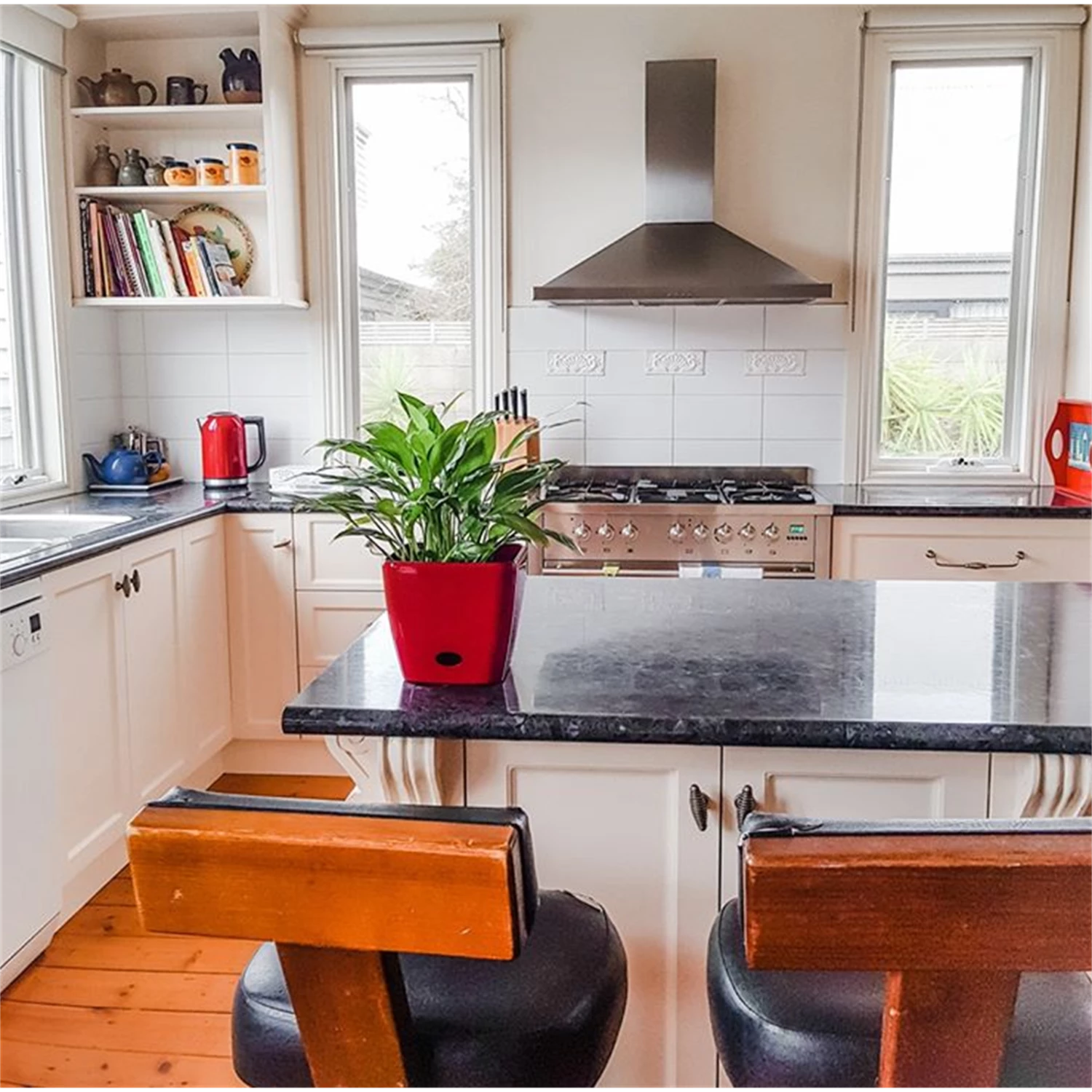 Discount ๐ Eden 18cm Red Square Self Watering Planter - To Australia ๐ 4 Discount ๐ Eden 18cm Red Square Self Watering Planter - To Australia ๐ - Image 2