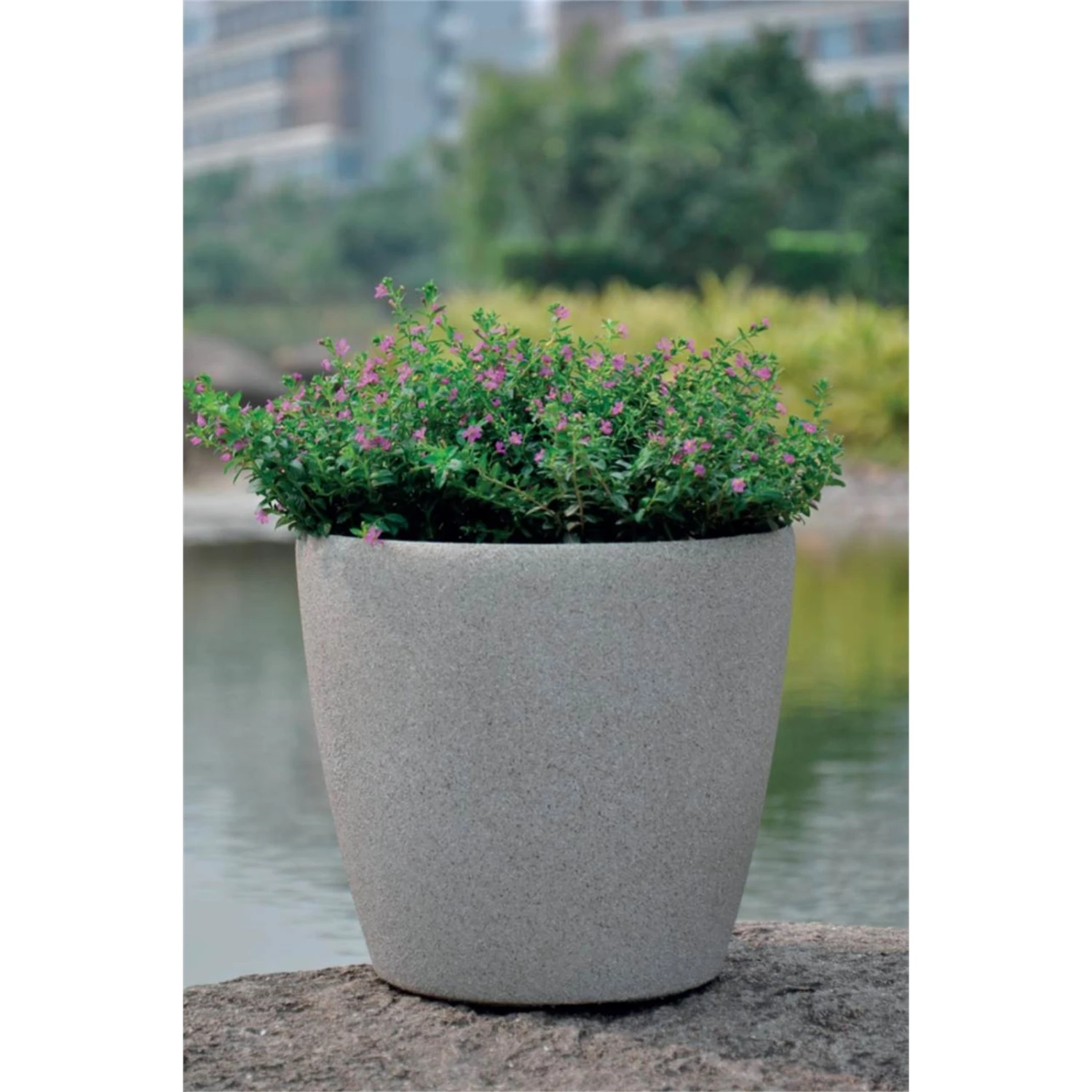 Flash Sale π EDEN 35 X 33cm Sandstone Self Watering Round Planter - To Australia β¨ 5 Flash Sale π EDEN 35 X 33cm Sandstone Self Watering Round Planter - To Australia β¨ - Image 3