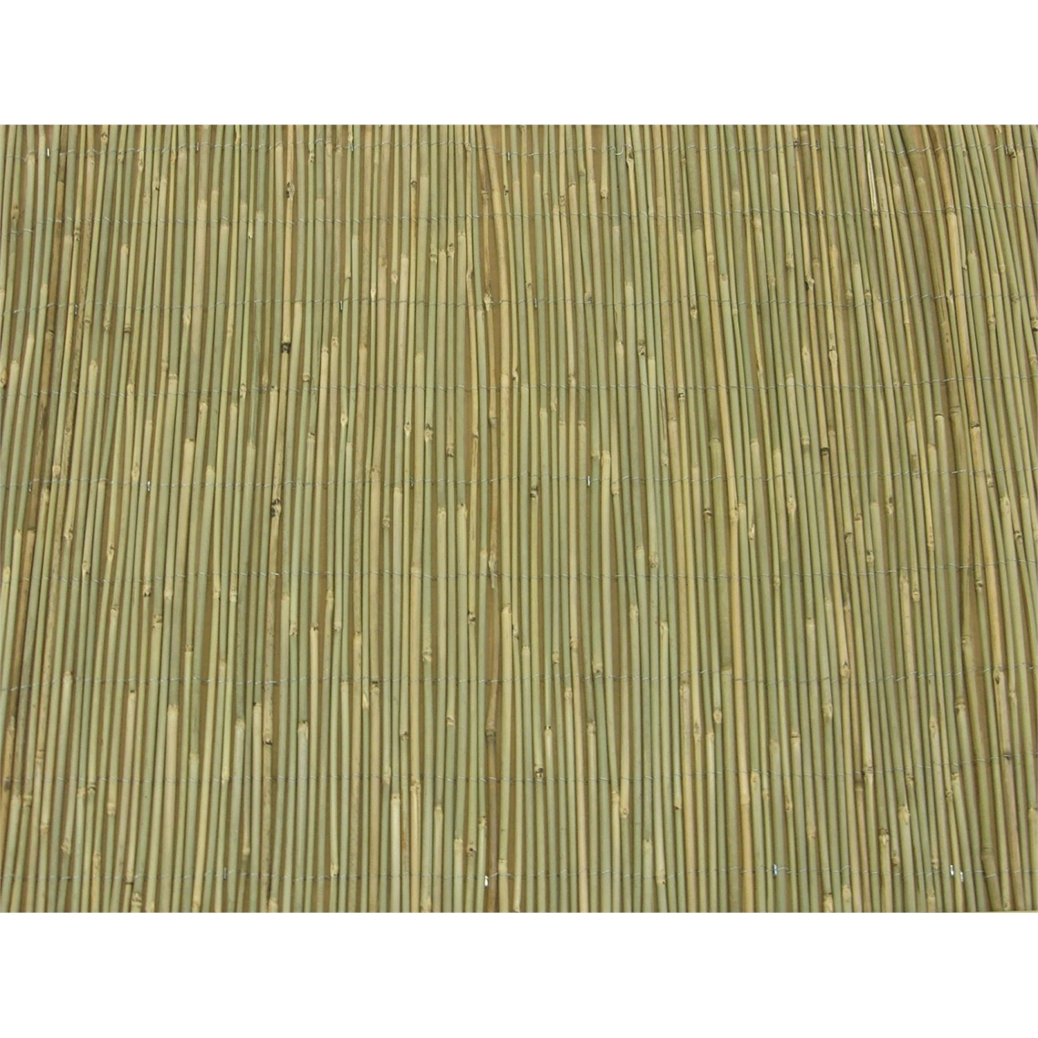 Deals 😀 EDEN 1 X 3m Natural Bamboo Screening - To Australia ❤️ 3 Deals 😀 EDEN 1 X 3m Natural Bamboo Screening - To Australia ❤️