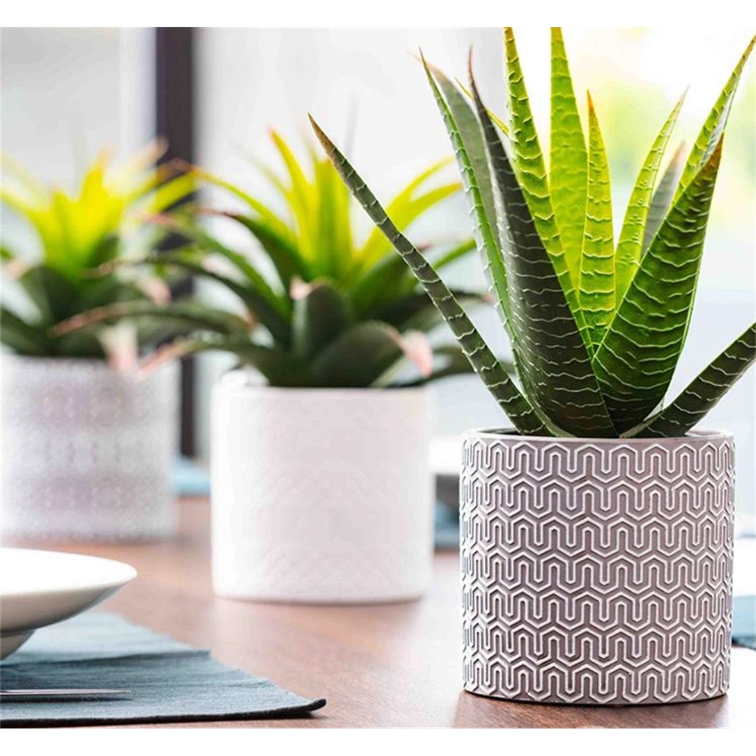 Deals 😀 Australia Only - EDEN White 14cm Vienna Ceramic Planter Other ✨ 4 Deals 😀 Australia Only - EDEN White 14cm Vienna Ceramic Planter Other ✨ - Image 2
