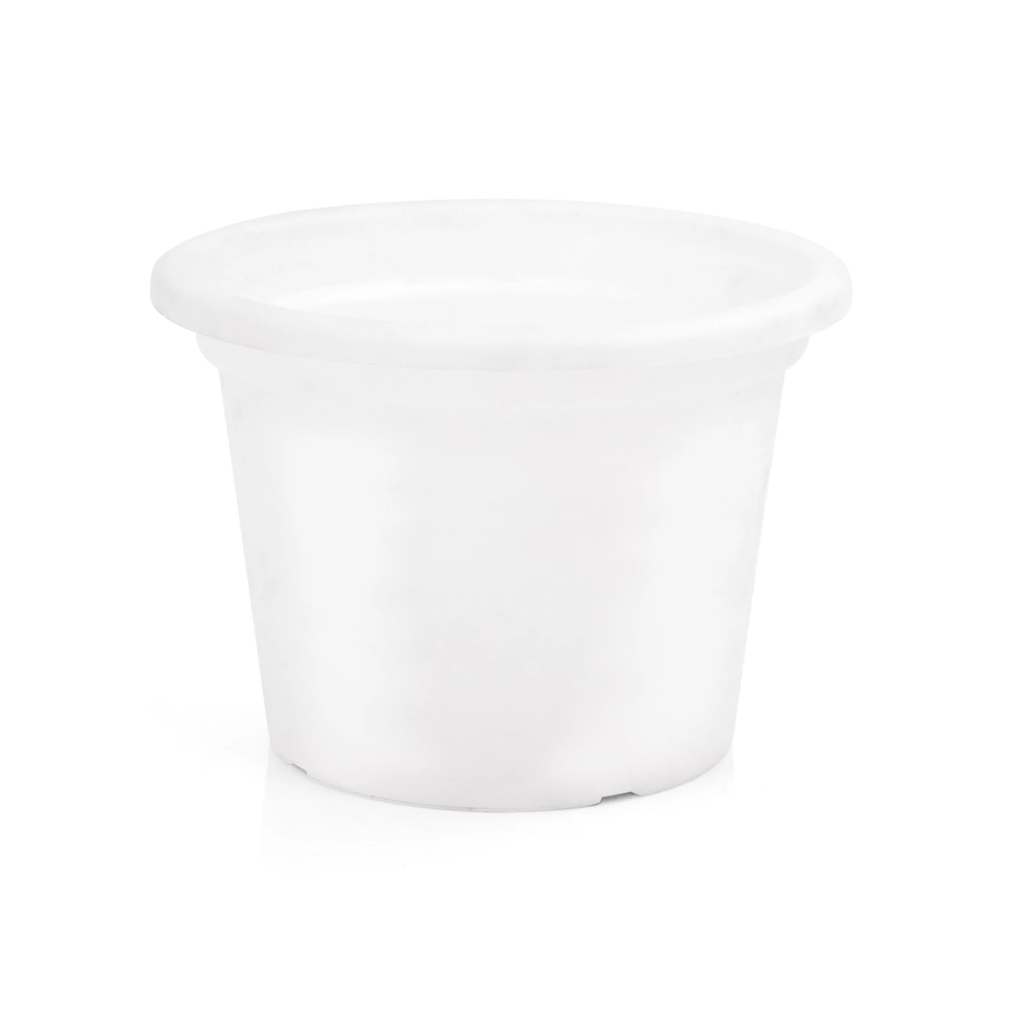 Wholesale π EDEN 25cm Transparent White Cylinder Planter Clear White - To Australia βοΈ 3 Wholesale π EDEN 25cm Transparent White Cylinder Planter Clear White - To Australia βοΈ