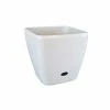 Best deal 👍 Australia Only - Eden 18cm White Square Self Watering Planter ✔️ -Eden shop 5fe7e501586f41c595276e77b19fcafa