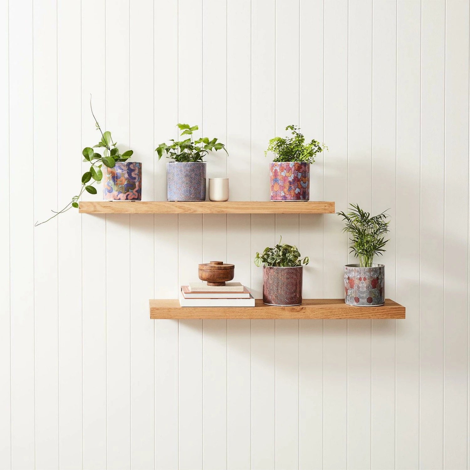 Top 10 👍 EDEN 16cm Warlu Witchetty Grub Dreaming Indigenous Planter Other - To Australia ✨ 6 Top 10 👍 EDEN 16cm Warlu Witchetty Grub Dreaming Indigenous Planter Other - To Australia ✨ - Image 4