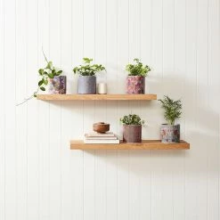 Brand new 🥰 EDEN 16cm Warlu Fire Country Dreaming 1 Indigenous Planter Other - To Australia 🥰 -Eden shop 60374e1bbbce4bf391672767eff97960 3