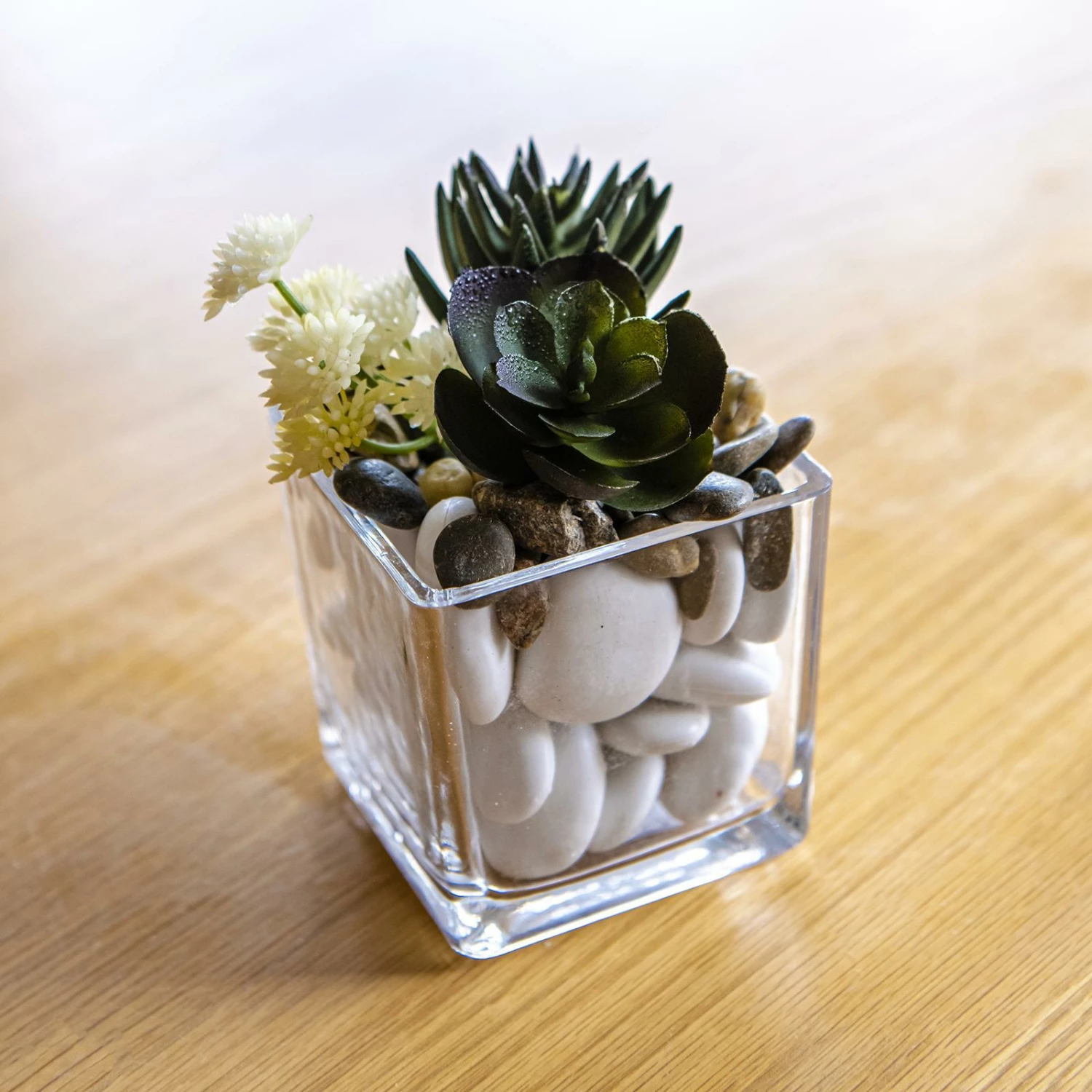 Best deal ๐งจ EDEN 8cm Glass Square Planter Clear - To Australia ๐คฉ 4 Best deal ๐งจ EDEN 8cm Glass Square Planter Clear - To Australia ๐คฉ - Image 2