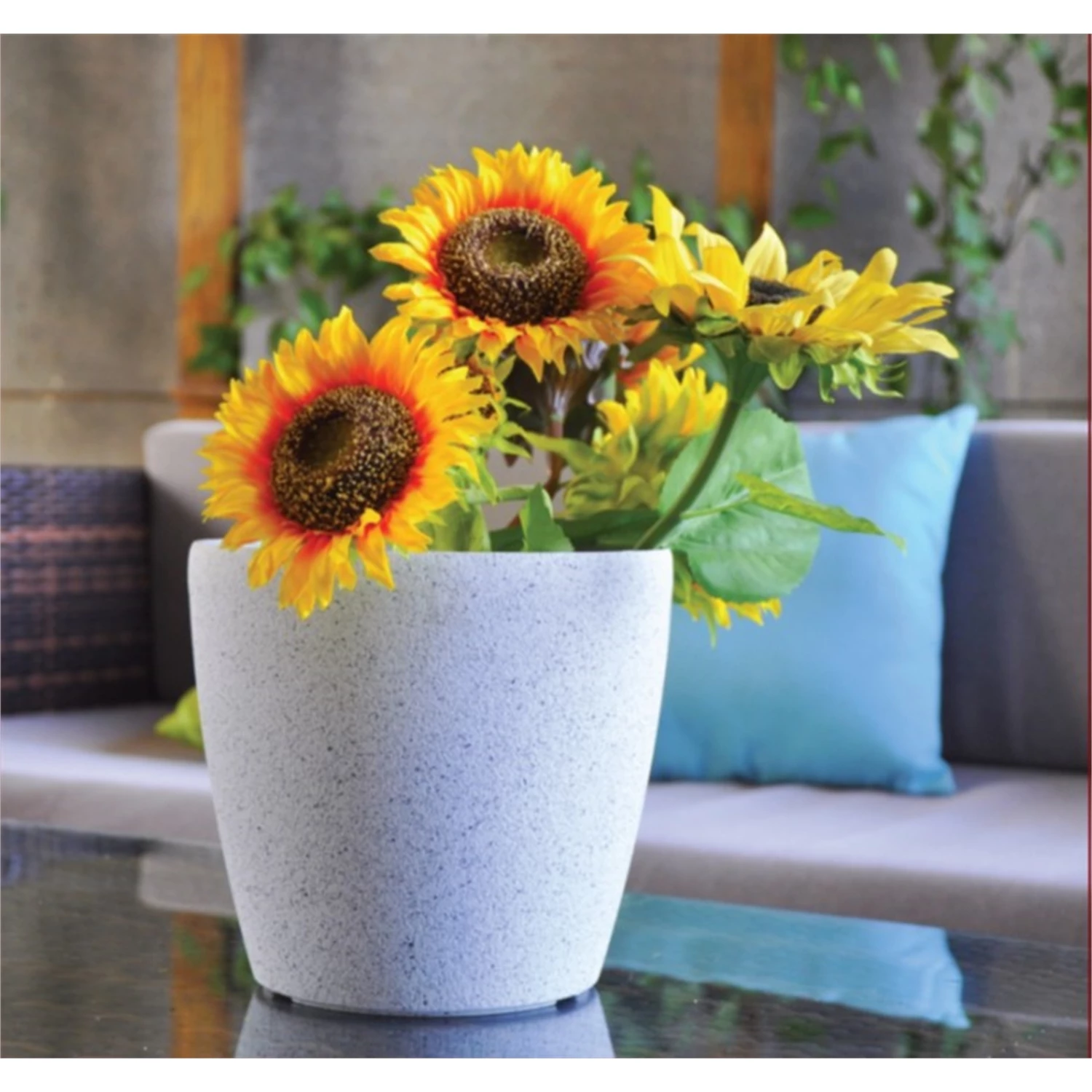 Promo ๐ Eden 22cm White Stonelite Round Self Watering Planter - To Australia ๐ 4 Promo ๐ Eden 22cm White Stonelite Round Self Watering Planter - To Australia ๐ - Image 2