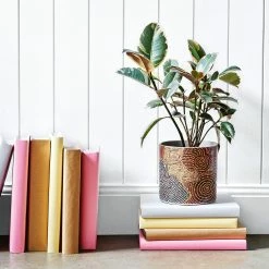 Discount 🎁 Australia Only - EDEN 16cm Warlu Bush Tomato Dreaming Indigenous Planter Other 😍 -Eden shop 79dde3acc7ed4e82b8156f020edad1f8