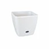 Cheap 😍 Australia Only - Eden 22cm White Square Self Watering Planter 🥰 -Eden shop 97842b512d3f4f6f942b0da8fefef8f9