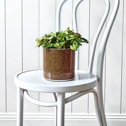 Promo 😀 Australia Sale - EDEN 16cm Warlu Fire Country Dreaming 3 Indigenous Planter Other ❤️ -Eden shop 9df458a6b1d047eb8793d4ffd31cca6a