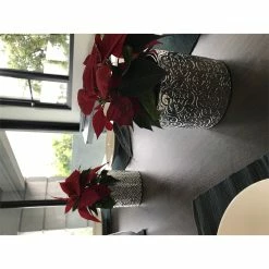 Hot Sale ๐ฅ Australia Only - Eden 14cm Silver Provincial Ceramic Planter Other ๐ 5 Hot Sale ๐ฅ Australia Only - Eden 14cm Silver Provincial Ceramic Planter Other ๐ -Eden shop a69666f03e4b46eeb94b76d32619a42e