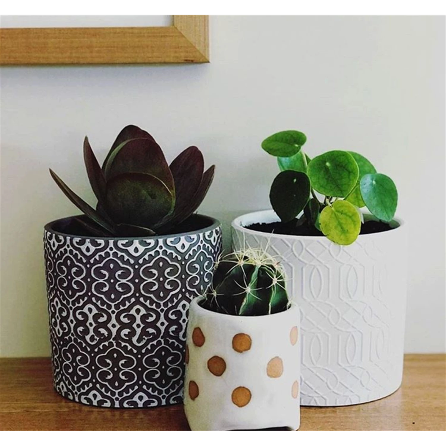 Best reviews of ✔️ Australia Only - EDEN Delta Ceramic Planter Other ⭐ 4 Best reviews of ✔️ Australia Only - EDEN Delta Ceramic Planter Other ⭐ - Image 2