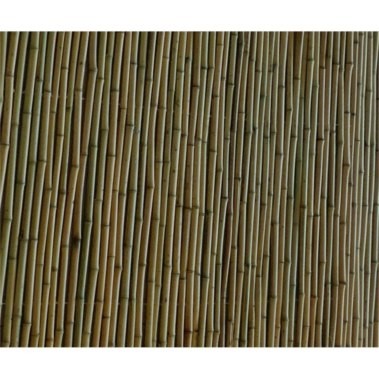 Brand new ❤️ EDEN 1.8 X 1.5m Natural Bamboo Premium Screen Fencing - To Australia ❤️ 4 Brand new ❤️ EDEN 1.8 X 1.5m Natural Bamboo Premium Screen Fencing - To Australia ❤️ - Image 2