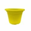 Best reviews of 🧨 Eden 25cm Yellow Transparent Cylinder Planter - To Australia ❤️