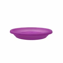 Hot Sale 👍 Eden 22cm Purple Transparent Saucer Other - To Australia 🔥