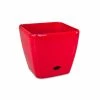 Best Pirce 😀 Eden 28cm Red Square Self Watering Planter - To Australia 🔥 -Eden shop cfb99281e8c84442a6acb8a91126e52d