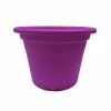 Coupon ๐ Australia Sale - Eden 25cm Transparent Purple Cylinder Planter โญ 2 Coupon ๐ Australia Sale - Eden 25cm Transparent Purple Cylinder Planter โญ -Eden shop e2e3aec21f1d4fa3a1c496352e2b10a6