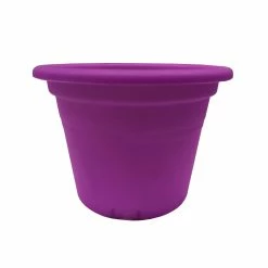Coupon 👏 Australia Sale - Eden 25cm Transparent Purple Cylinder Planter ⭐